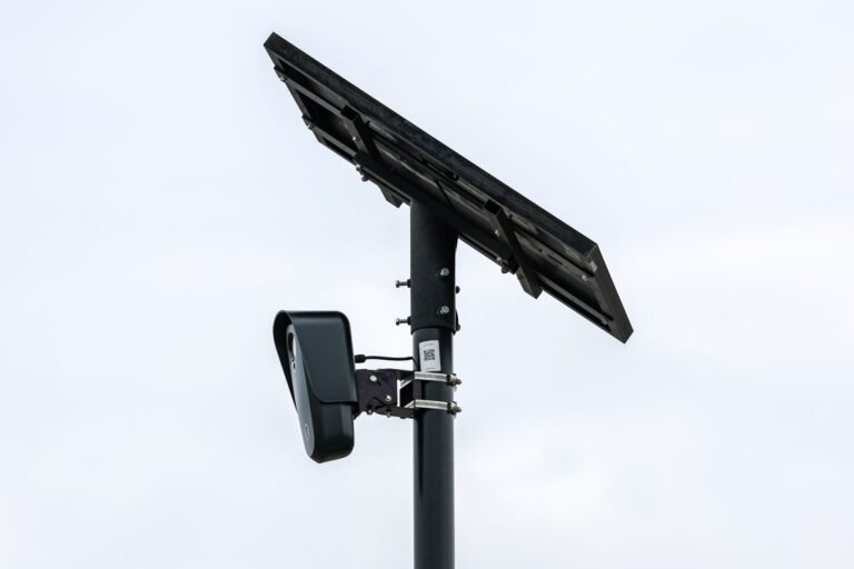 Flock Camera Systems May Face a Constitutional Reckoning | American Enterprise Institute