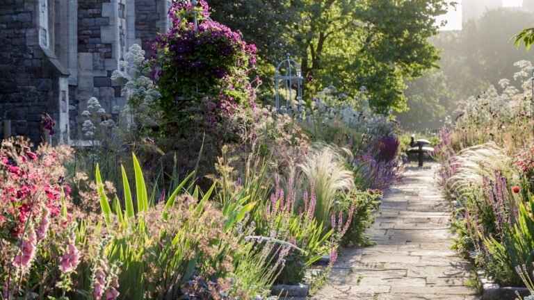 7 Plants That Shine and Bloom Post-Heatwave