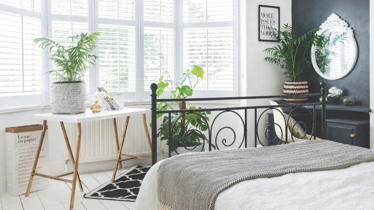 5 houseplants that thrive on hot, south-facing windowsills