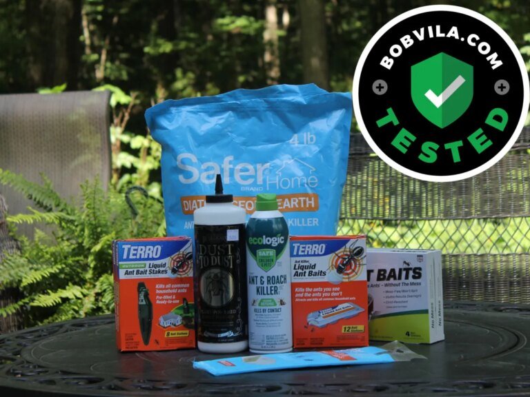 The Best Ant Killers of 2026, Tested and Reviewed