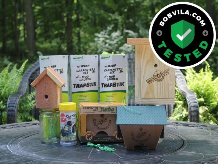 The Best Carpenter Bee Traps, Tested and Reviewed