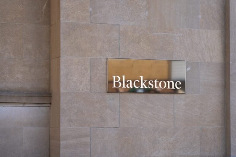 Blackstone weighs abandoning $3bn financing plan for secondaries fund