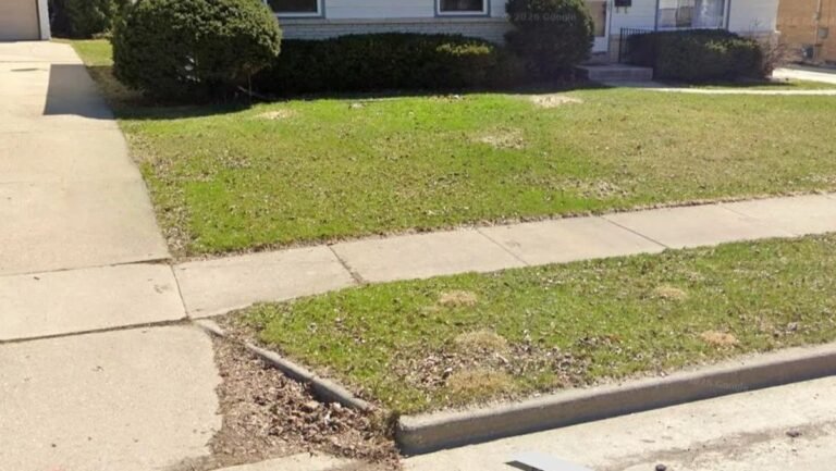 He Installed 150 Feet of French Drains and Turned the Drainage Problem Into a Rain Garden