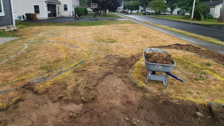 He Removed His Front Lawn and Rebuilt It With Gravel Paths and Garden Beds
