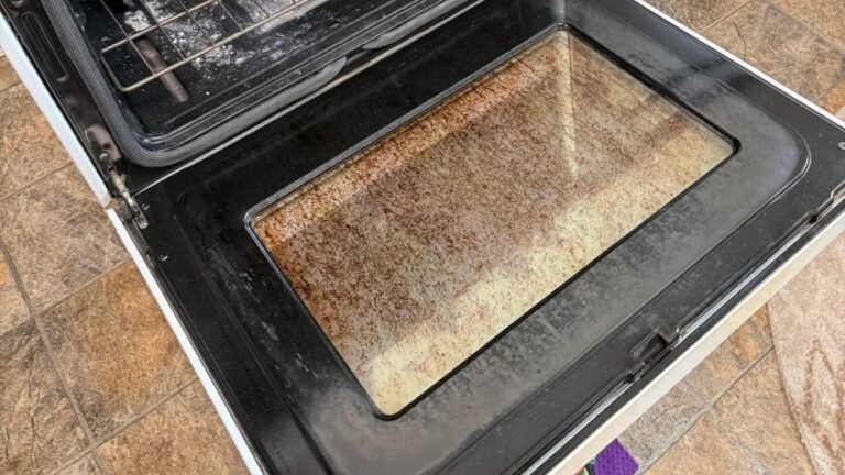 Her Oven Window Hadn’t Been Cleaned in a Decade. This Took Off the Buildup in 20 Minutes