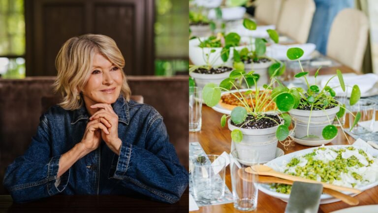 Martha Stewart Never Hosts Outside Without These 5 Things