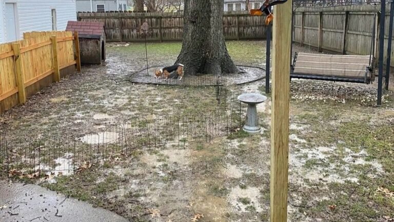 Mud Was Taking Over This Backyard Until Curved Stone Beds Replaced the Lawn