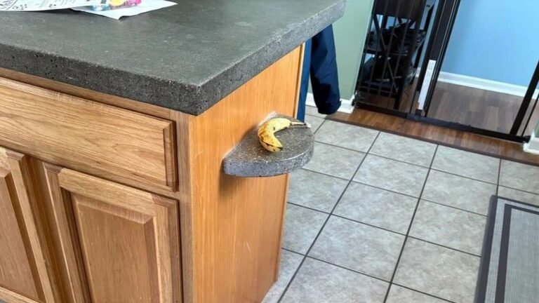 Nobody Could Figure Out Why This Tiny Kitchen Shelf Existed Until the Previous Owner Answered