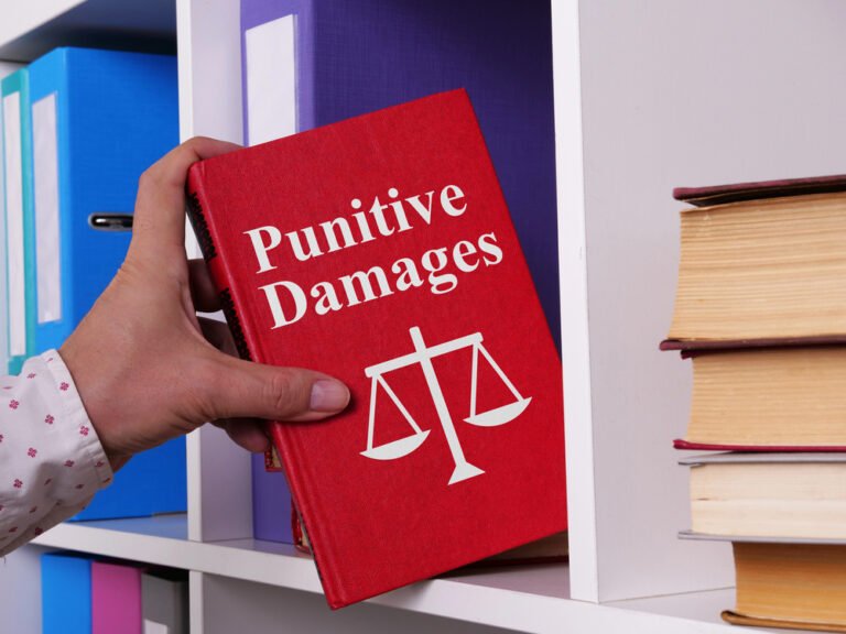 Insurer Says Virginia ‘Intentional’ Acts Law Blocks $10M Punitive Damages Claim