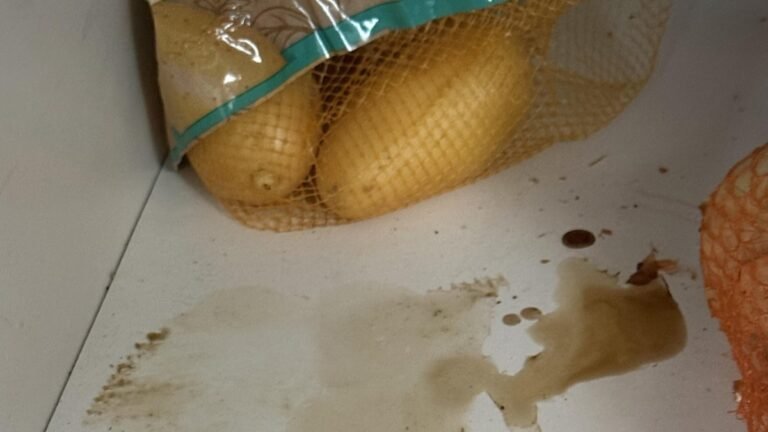 Rotten Potatoes Left a Smell in Her Kitchen Cabinet. Cleaning the Surface Wasn’t Enough