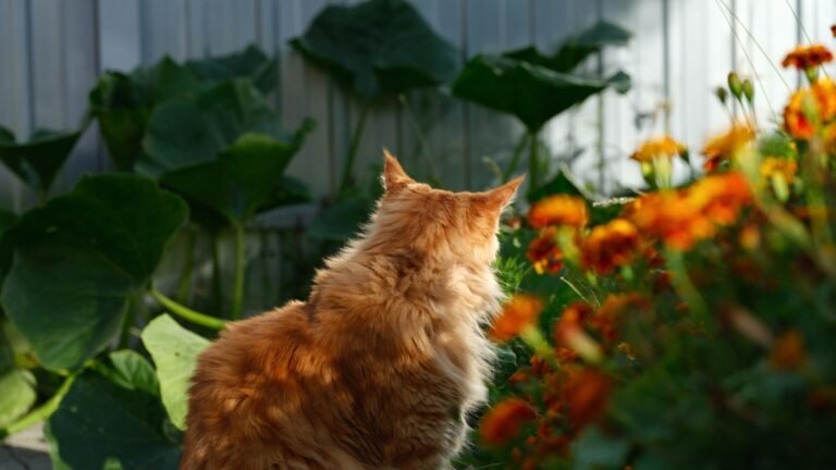 Some of the Prettiest Backyard Plants Aren’t Safe for Cats