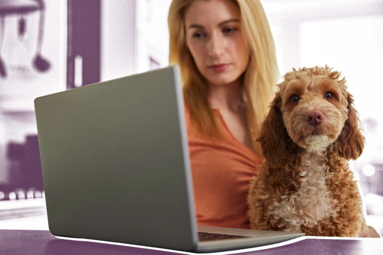 What to Do If Your Pet Insurance Claim Is Denied