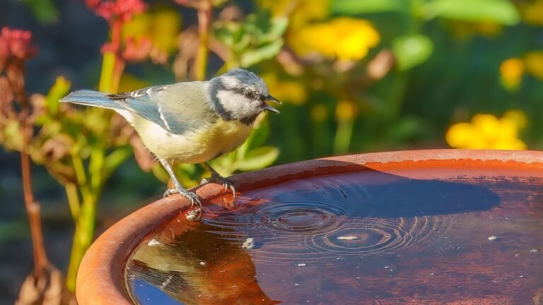 This £15 Amazon is perfect for making a wildlife winery