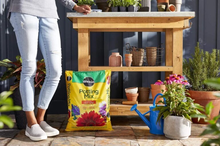The Best Soil for Herbs, Picks from Our Editors