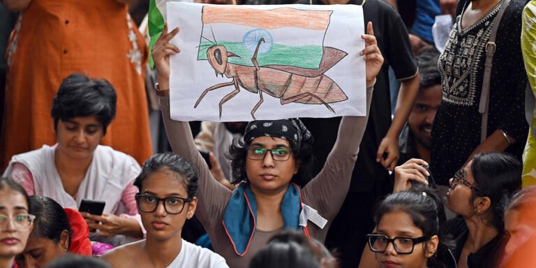 The Painful Incompetence of the Indian State by Devesh Kapur