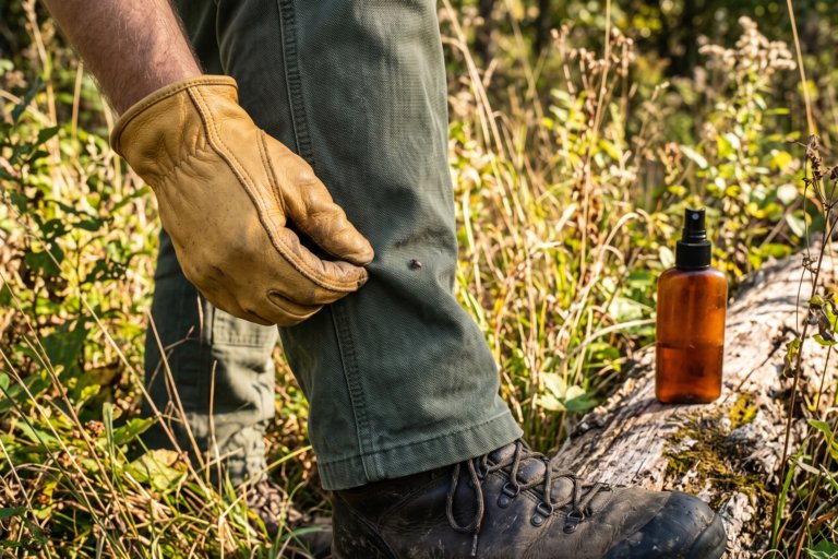 Rabbit Fever Cases Detected in US. How to Check for Symptoms