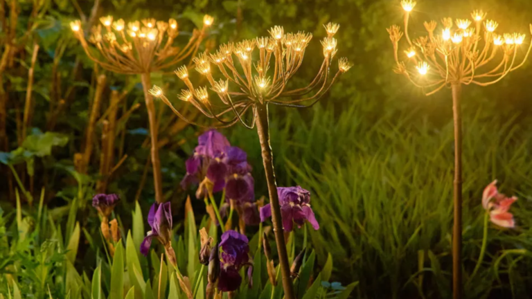 These Fennel-Inspired Lights Make Your Garden Look Enchanted |