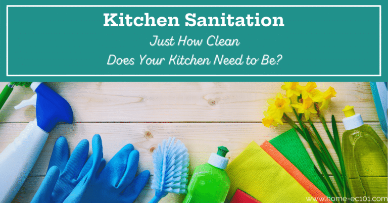 A Guide to Kitchen Disinfection and Sanitation