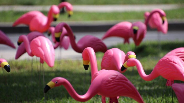 Forget Lawn Decor: A More Creative Way To Use Thrifted Flamingoes In Your Backyard