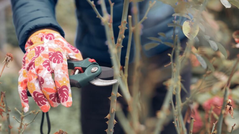 10 Plants To Prune In August For A Healthier, Flourishing Garden In The Fall