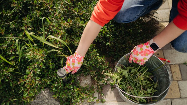 Vinegar Isn’t The Only Way To Kill Weeds — There’s A Natural Option That’s Overlooked