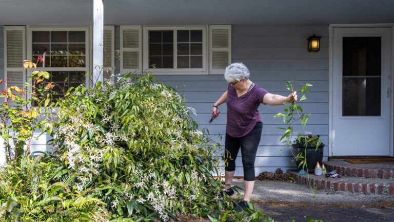 Don’t Waste Pruned Branches: Turn Them Into A Charming DIY Wreath With A Thrifted Bowl