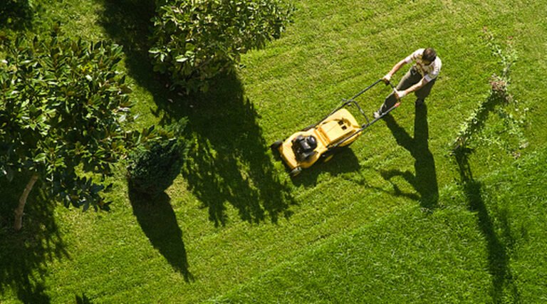 What Your Lawn Mower Needs In August To Keep Running Smoothly