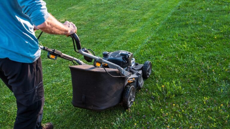 6 Best Tools To Sharpen Lawn Mower Blades That Aren’t A Bench Grinder
