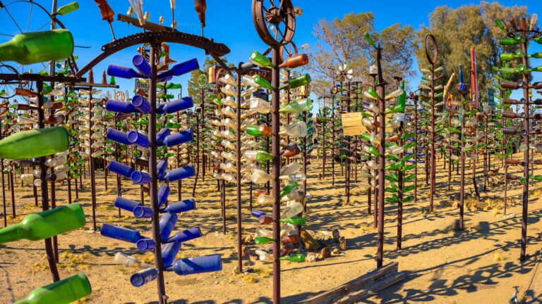 What Do Glass Bottles On A Tree Mean?
