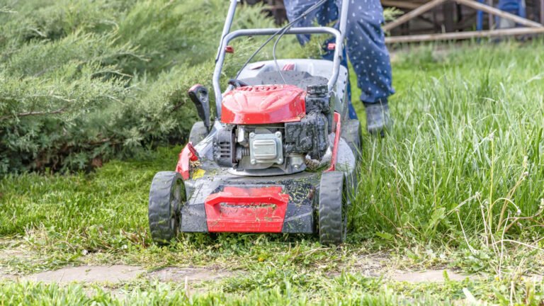 Not Just Grass: Here’s What Else Your Lawn Mower Blades Can Cut