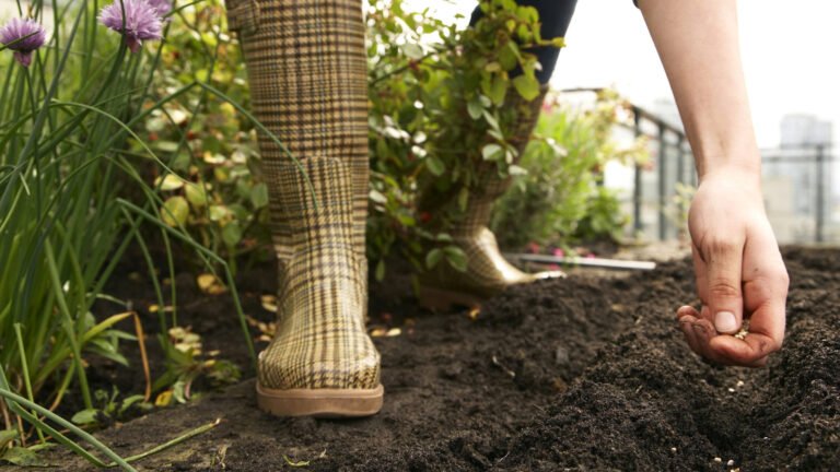 6 Easy-To-Grow Crops To Plant In August To Enjoy By Fall