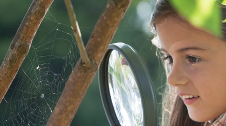 Orb-Weaver Spider Webs Look Different: Here’s How To Identify One In Your Home Or Yard