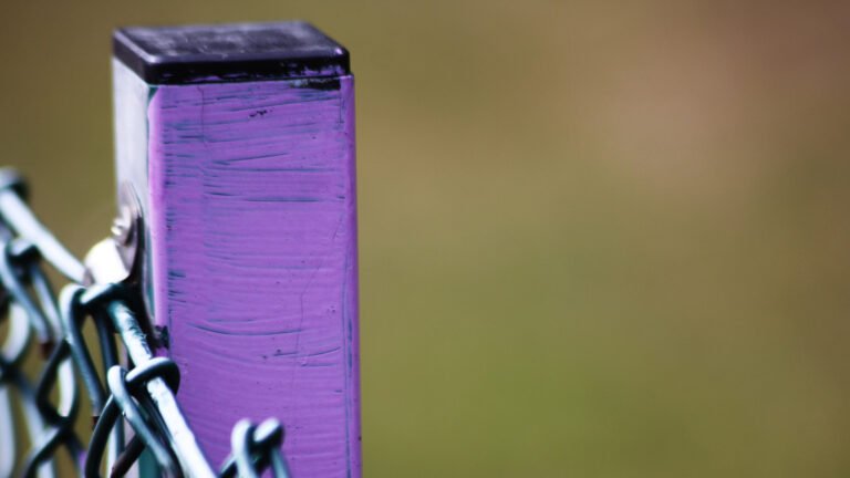What Is The Meaning Behind A Purple Fence?