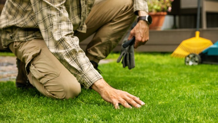 Forget The Pricey Lawn Aerators — A Garden Auger Bit Is A Cheaper Solution