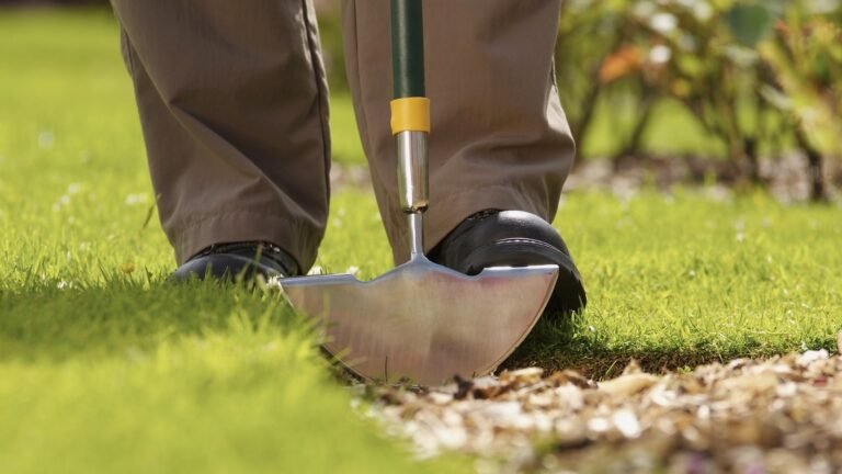 Skip The Bench Grinder: Sharpen Your Landscape Edger Fast With A Portable Alternative