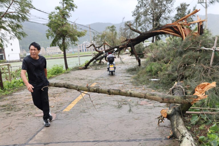 Typhoon Season Forecast to Be Among Most Intense Ever for Asia