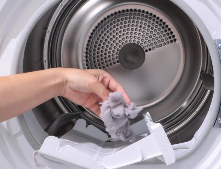 6 Unexpected Things You Can Do With Dryer Lint Instead of Tossing It