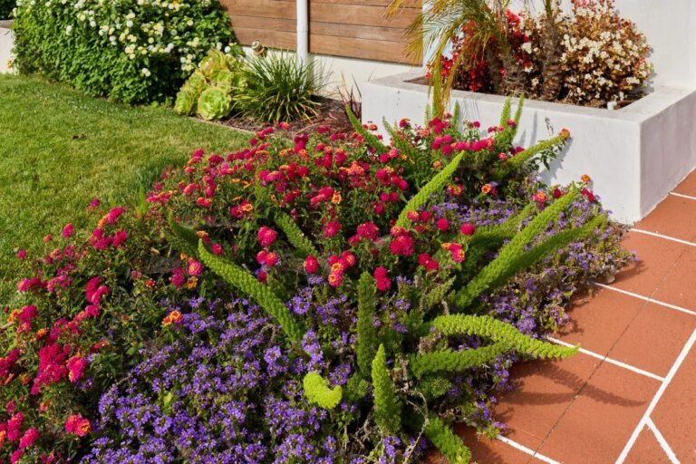 These 5 Small Flowers Can Instantly Elevate Your Garden Beds