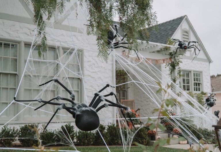 20+ Best Spider Halloween Decorations to Buy in 2026